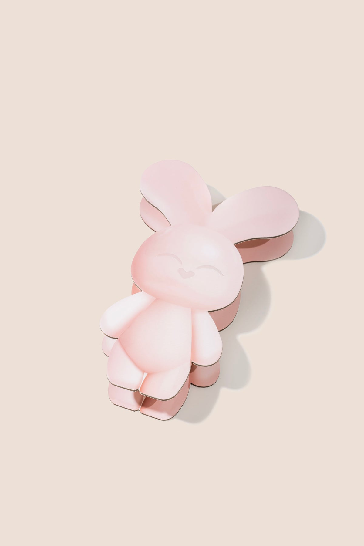 Bun Bun Mini Bunny Box