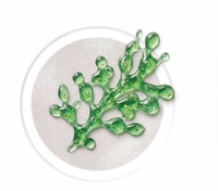 Algae Complex