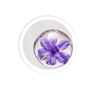 Butterfly Lavender Extract