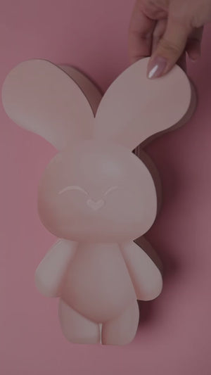 BUN BUN MINI BUNNY BOX